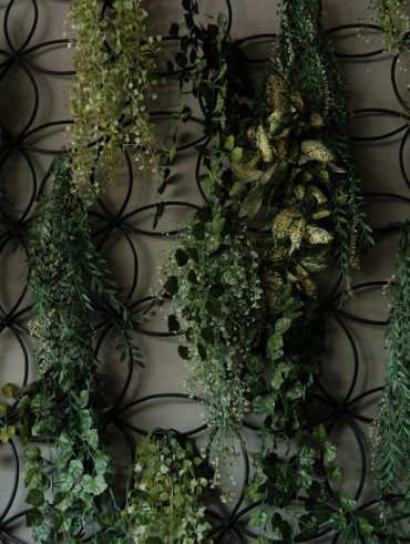 idées et conseils d'entretien pour un effet naturel réussi du Mur végétal intérieur