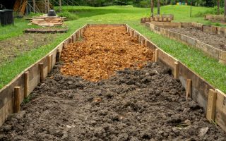 améliorer la qualité de son sol de jardin pour des plantations réussies