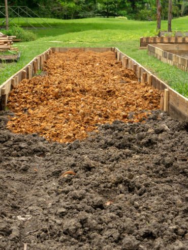 améliorer la qualité de son sol de jardin pour des plantations réussies