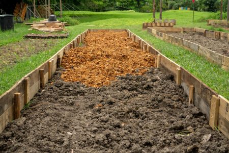améliorer la qualité de son sol de jardin pour des plantations réussies