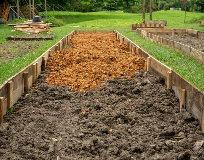 améliorer la qualité de son sol de jardin pour des plantations réussies